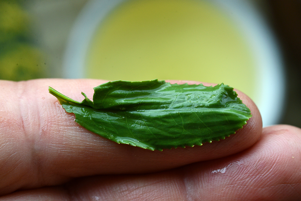 Sencha Horai Marukyu Koyamaen tea